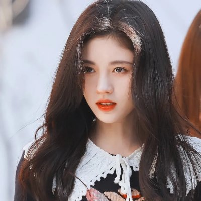 我的“狐朋狗友”